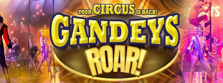promotional code for gandeys circus